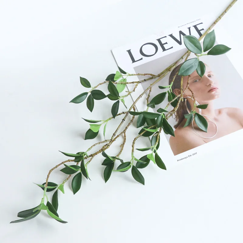 ประดิษฐ์ Tenuifolia Ficus สาขา - Ficus Lyrata Tree บทวิจารณ์และราคา