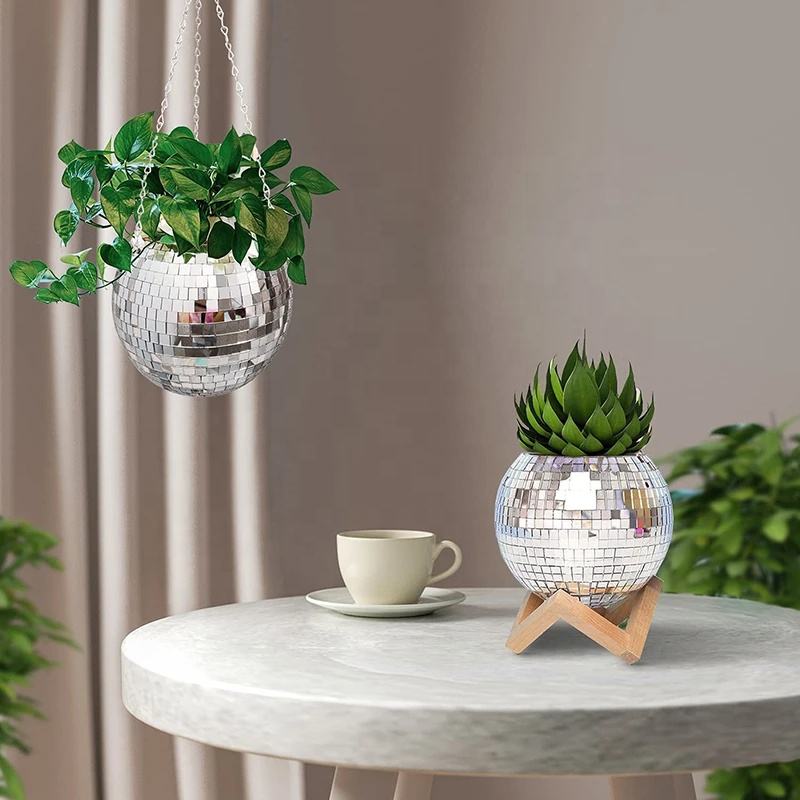 กระถางแขวนต้นไม้รูปทรงดิสโก้บอ - Echeveria Succulent บทวิจารณ์และราคา